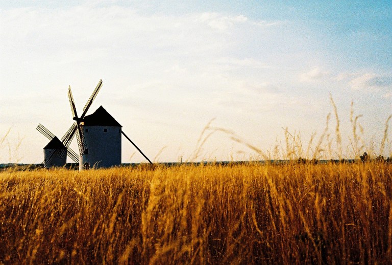 mulini mota del cuervo